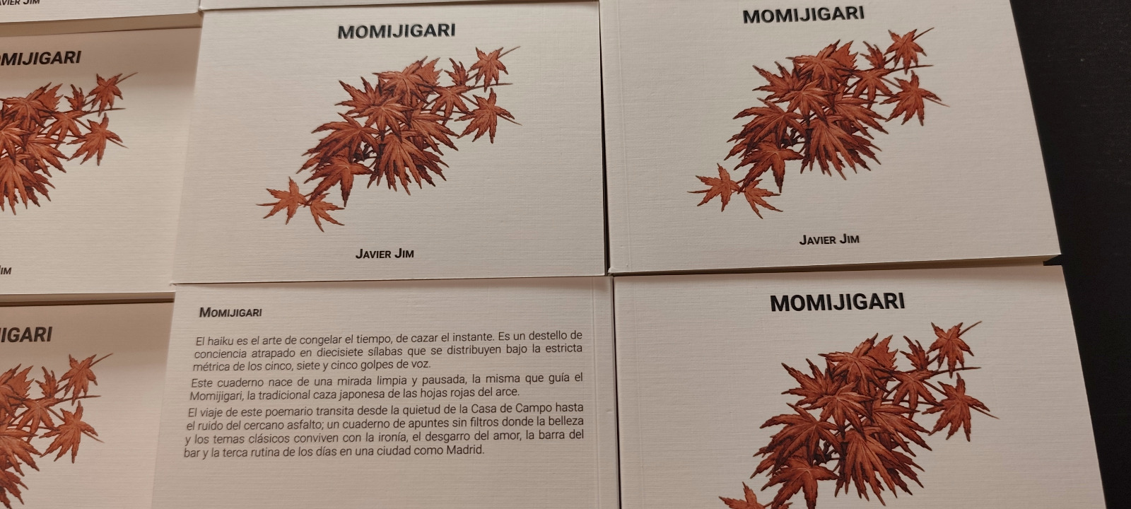 Momijigari - Imagen 2