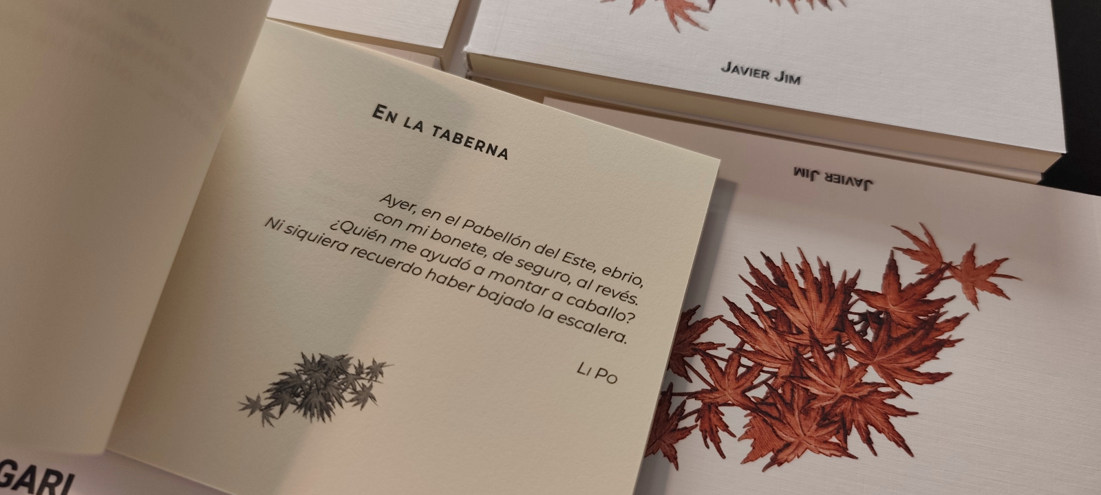 Momijigari - Imagen 4